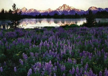 Grand Teton National Park 2 - Mountains & Nature Background Wallpapers ...