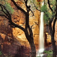 Zion National Park 1