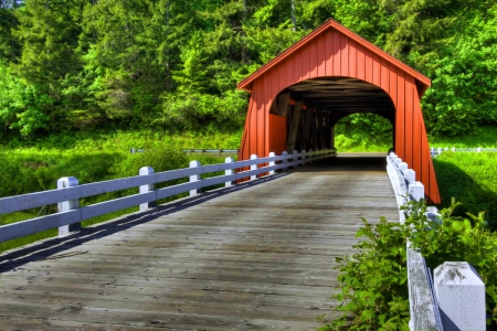 Fisher school bridge - greenery, fisher, covered, trees, summer, beautiful, school, grass, forest, lovely, river, nature, nice, place, bridge