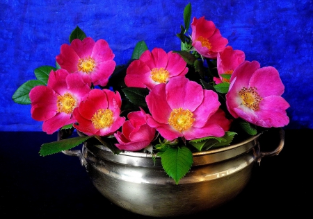 Lovely flowers - pretty, vase, delicate, beautiful, lovely, petals, pink, still life, flowers, background, tender, nice