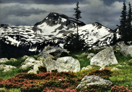 Eagle Cap Mountain - wide screen, national park, landscape, oregon, photo, usa, scenery, wallowa whitman, photography