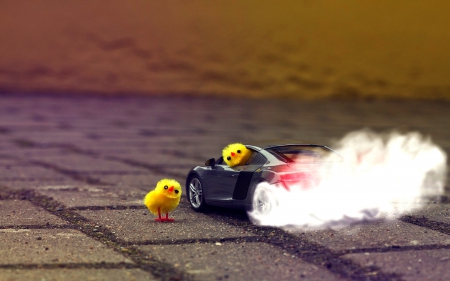 DIVING CHICKS - chickens, car, yellow, funny, audi, smoke