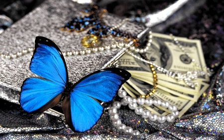 BUTTERFLY  & MONEY