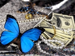 BUTTERFLY  & MONEY