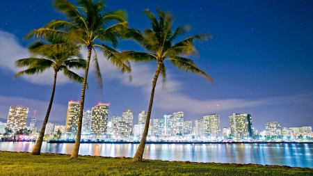 magnificent evening on honolulu - beaches, trees, harbor, wallpaper, hawaii, honolulu, nature, evening stars, city, new, lights