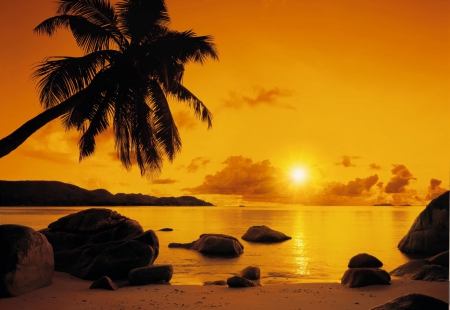 SUNSET IN PARADISE - rays, sky, palm trees, beach, paradise, coastline, sunset, golden, sunrise