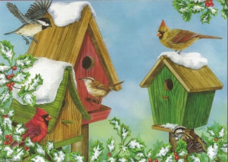 SNOWY BIRD HOUSE - BIRDS, SONG, SNOWY, WINTER