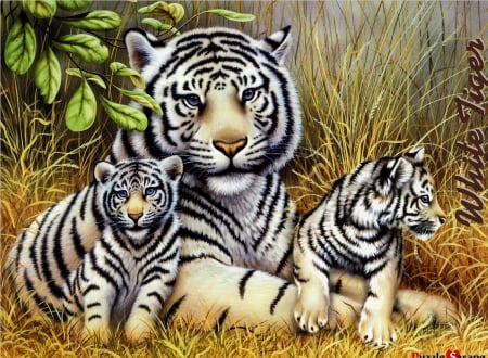 BIG CAT FAMILY - MOTHER, WILDLIFE, ANIMALS, CUBS