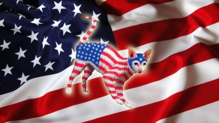 Captain AmeriCat - superhero, flag, cat, america