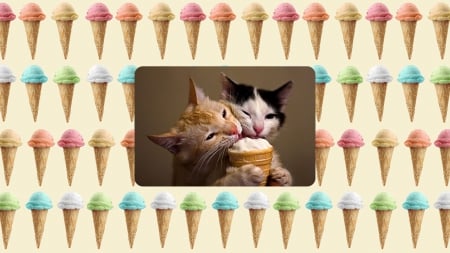 Nom Nom Nom - cone, cats, ice, cream