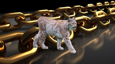 Lynx with links. - chain, cat, feline, lynx