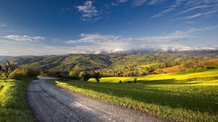 Road - nature, tree, path, road