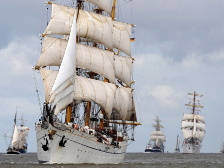 Sailship Parade - ships, sea, sailing, sails