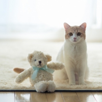 Hannah posing with her Teddy bear