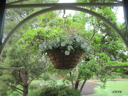 Spring Flowers Basket - white, flowers, photography, petunias, green