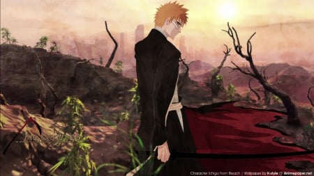 bleach - ichigo, kurosaki, bankai, bleach