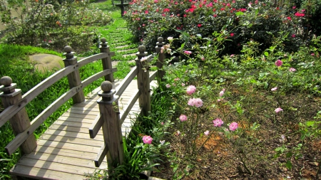 Little bridge in the garden - flowers, rose, bridge, garden, grass