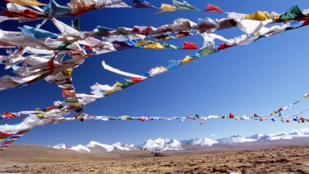 religious flags flying on the high plains in tibet - flags, plains, mountains, wind