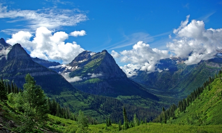 mountains - fun, forest, mountains, nature