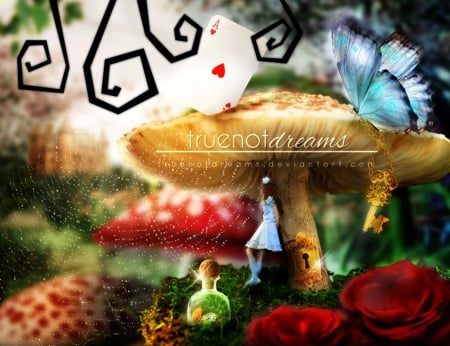 More than Just wonderland - flowers, wonderland, fantasy, mushroom, girl