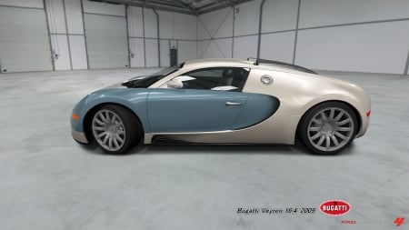 Bugatti Veyron 16.4 '2009 - Horizon, 360, 2009, Motorsport, 4, Sport, Veyron, Grand, Bugatti, Xbox, 16, Forza