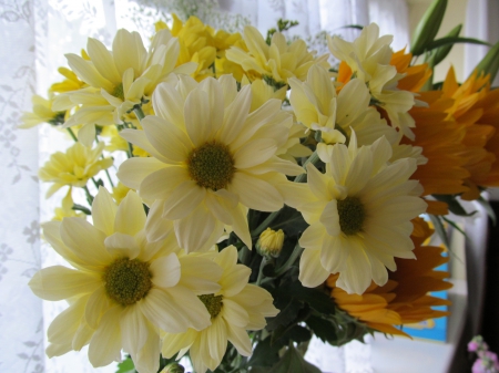 Hints of Yellow - Sunshine, Yellow, Flowers, Blooms, Flora