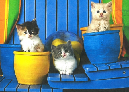 Three kittens in flowerpots - cute, kiteens, paws, flowerpots