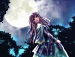 Anime girl in the moonlight