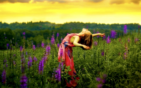 FREEDOM at DUSK - freedom, girl, mood, flowers, sunset, field