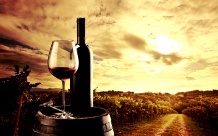 RED WINE - wine, bottle, red, field, yard