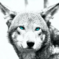 white wolf art