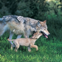 Mother and son