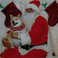 Socko smiles with Santa