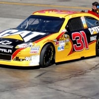 #31 Jeff Burton