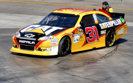 #31 Jeff Burton - wide screen, burton, photography, auto, jeff burton, racing, las vegas motor speedway, richard childress racing, nascar, photo