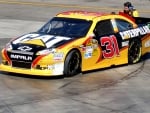 #31 Jeff Burton