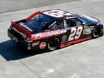 #29 Kevin Harvick