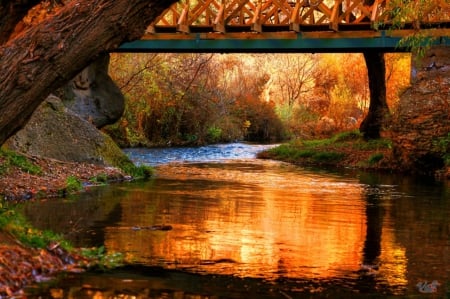 Autumn Colours - nature, autumn, bridge, colours