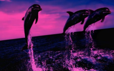 Dolphins at Twilight