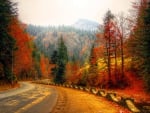 Autumn Road