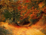 Autumn Path