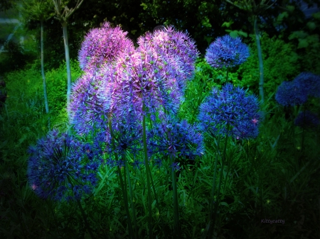 ♥ Mystic Garden ♥ - summer, blue, mystic, night, light, dark, flowers, nature, garden