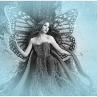 ~Fee of Blue Butterfly~