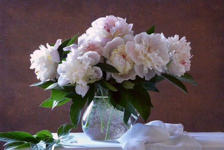 peonies - flowers, still life, photography, peonies