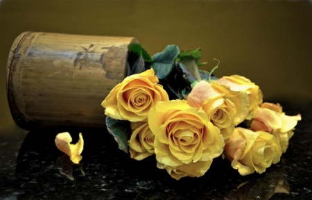 yellow roses - flowers, yellow, still life, roses