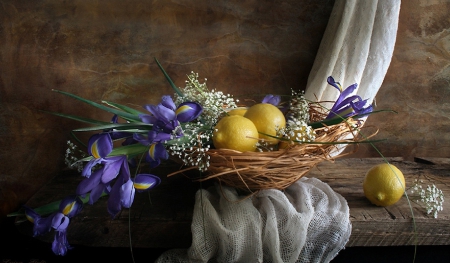 iryses & lemons - flowers, iryses, still life, lemons