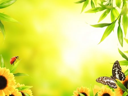 beautiful wallpaper - sunlight, plants, flowers, insects