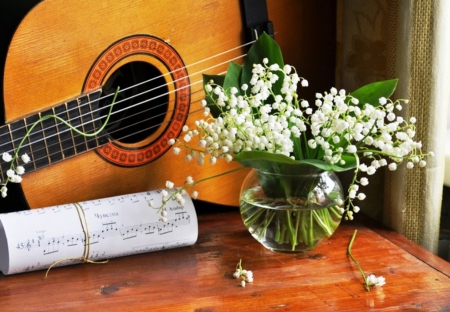 Song of Spring - flowers, guitar, photo, vase