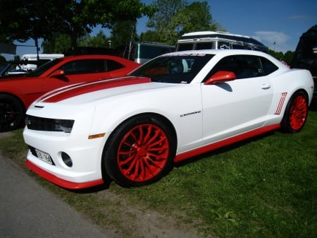 Power Meet Nossebro Sweden - show, grass, colors, car