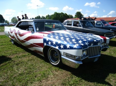 Power Meet Nossebro Sweden - car, painting, show, grass, stars